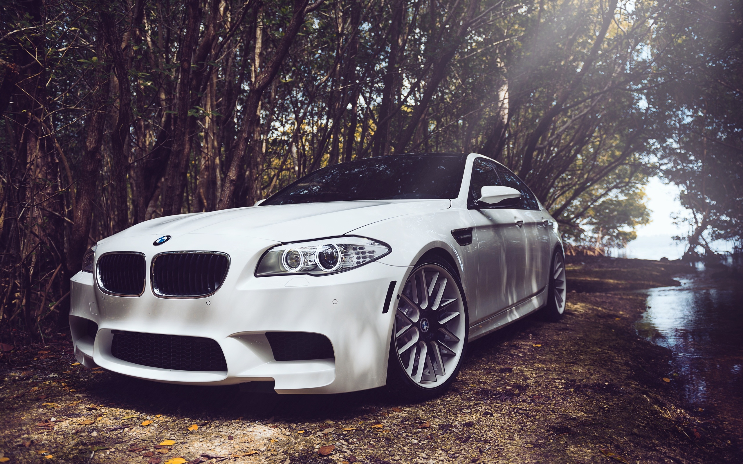 bmw m5, , , , , , 