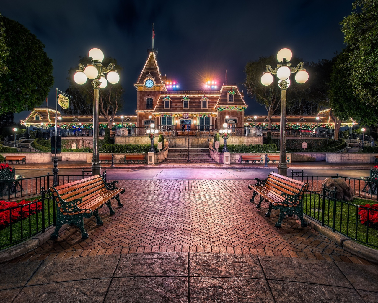 city, light, night, bench, ,