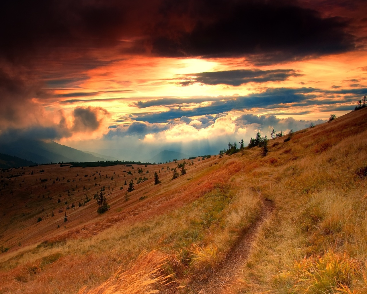 mountain, gree, grass, sky, road, tree, sunlight