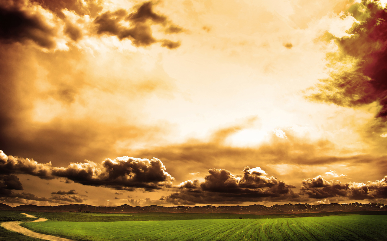 field, tree, grass, path, sky, clouds