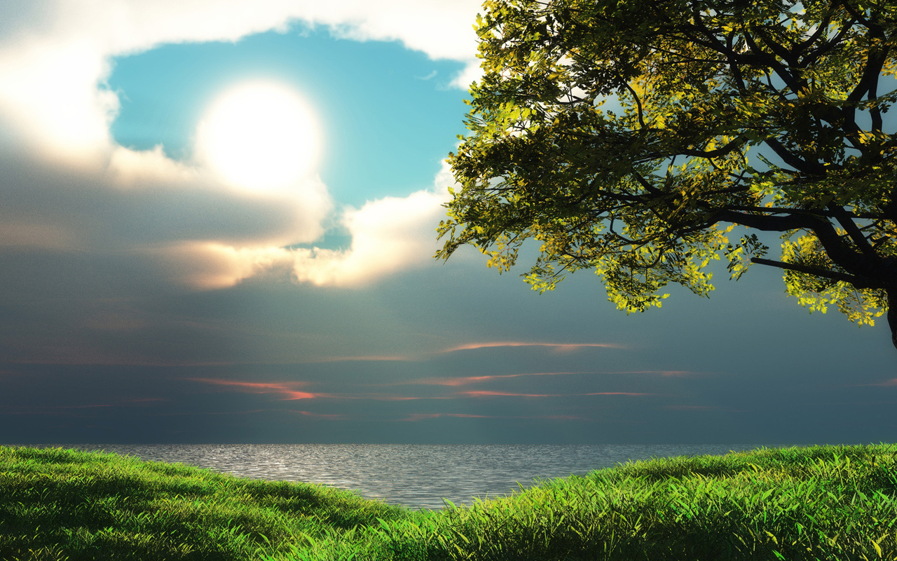 field, tree, grass, path, sky, clouds, sun