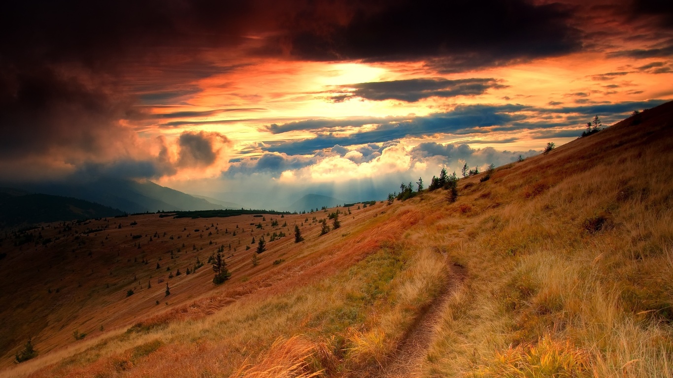 mountain, gree, grass, sky, road, tree, sunlight