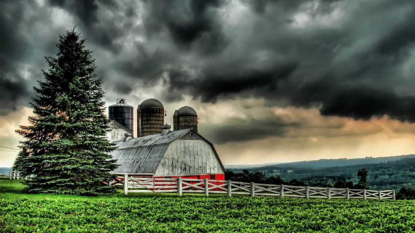 fields, grass, tree, hills, farm