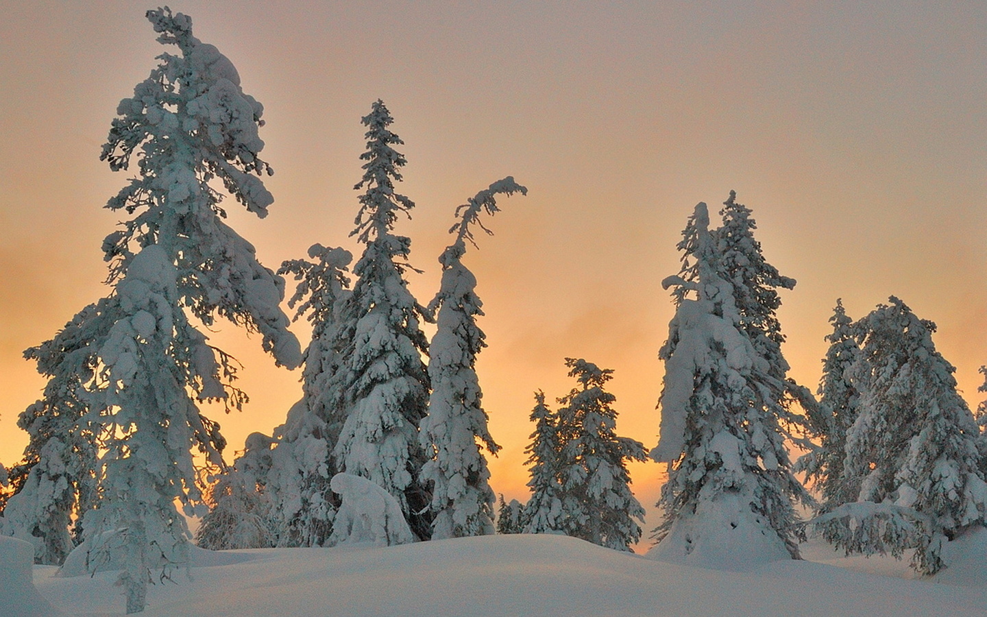Оуланка Финляндия зимой