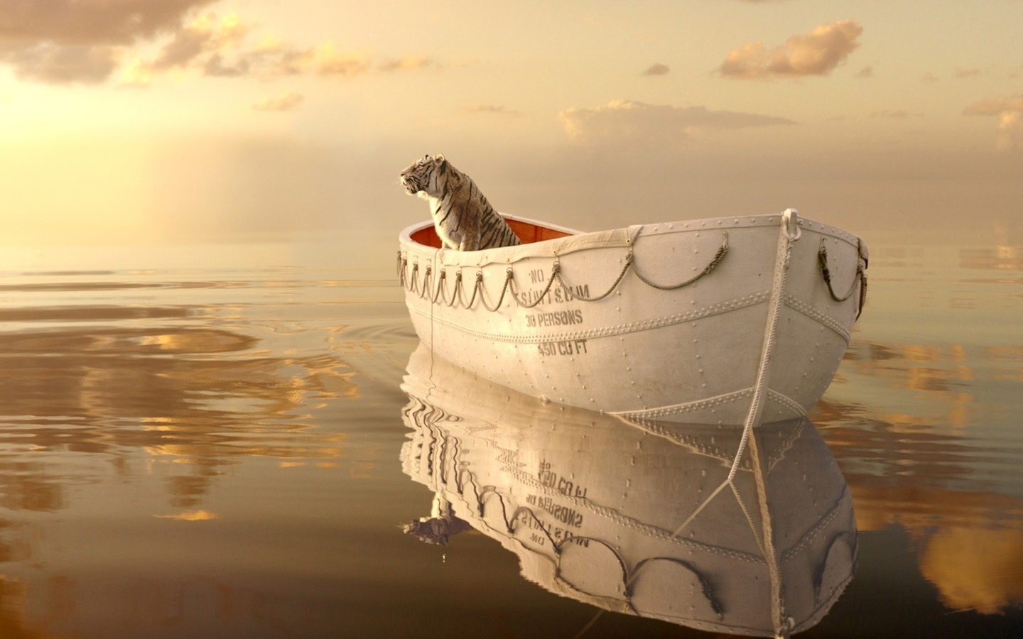 , life of pi,  , , , , , , , , 