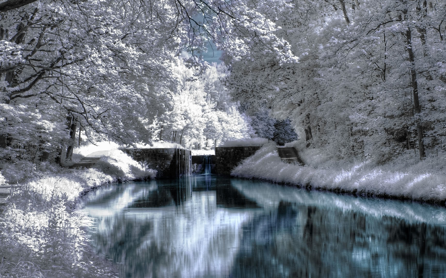 waterfall, forest, tree, river, green, bridge