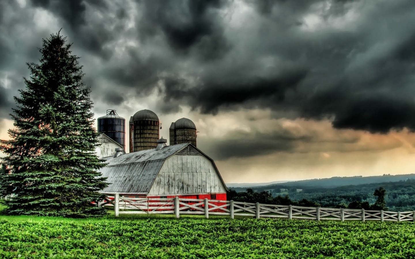 fields, grass, tree, hills, farm