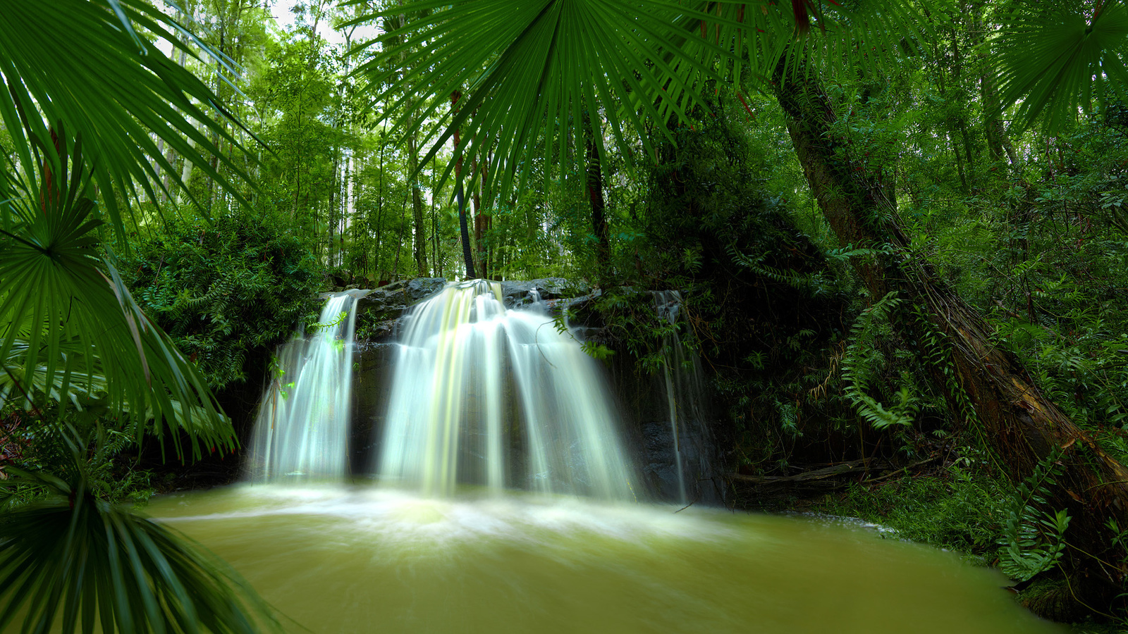 waterfall, forest, tree, river, green