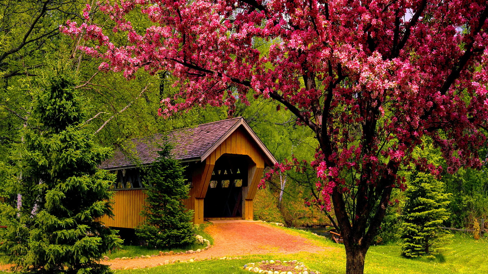 forest, bridge, tree, patch