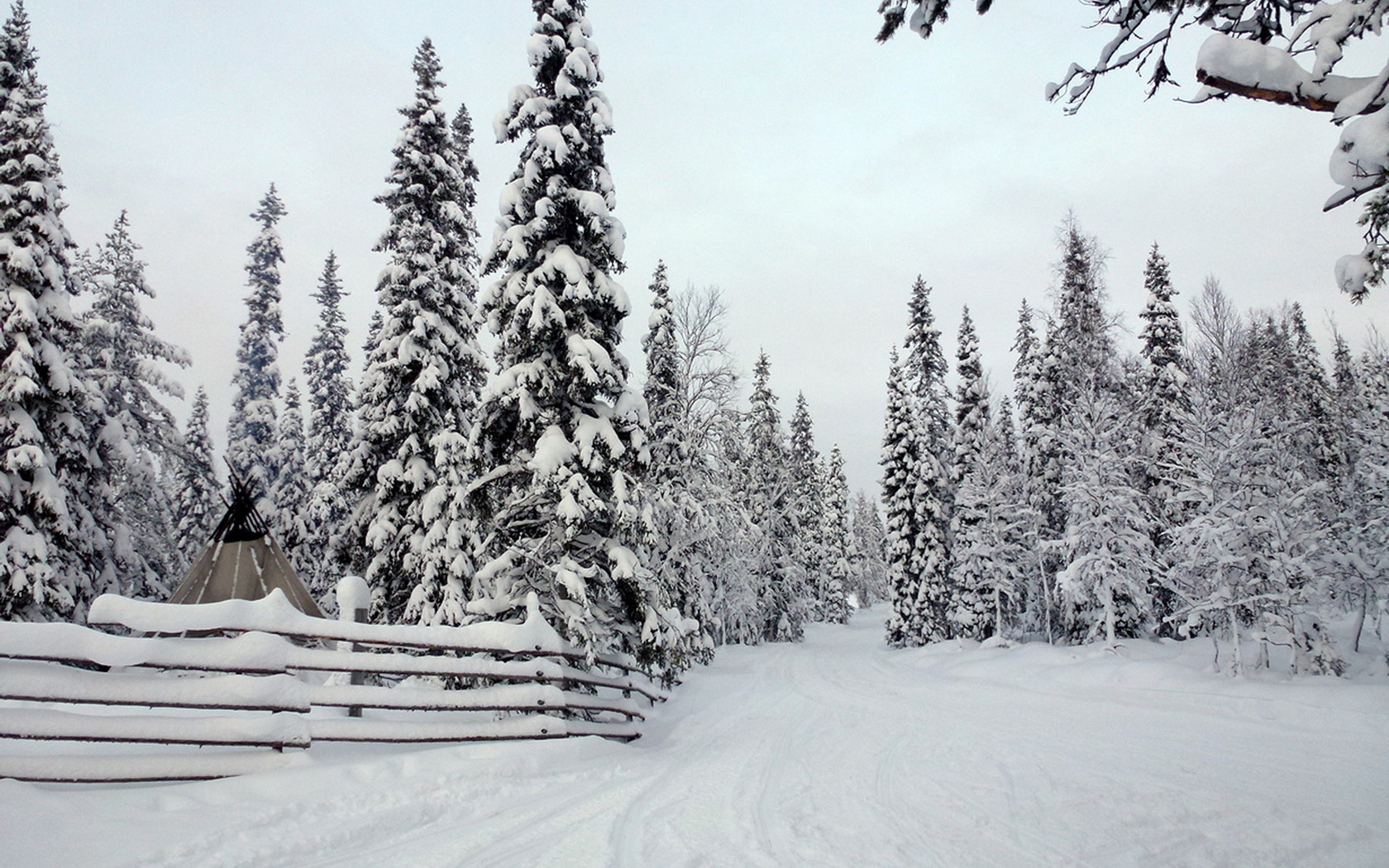 Зима лес Финляндия
