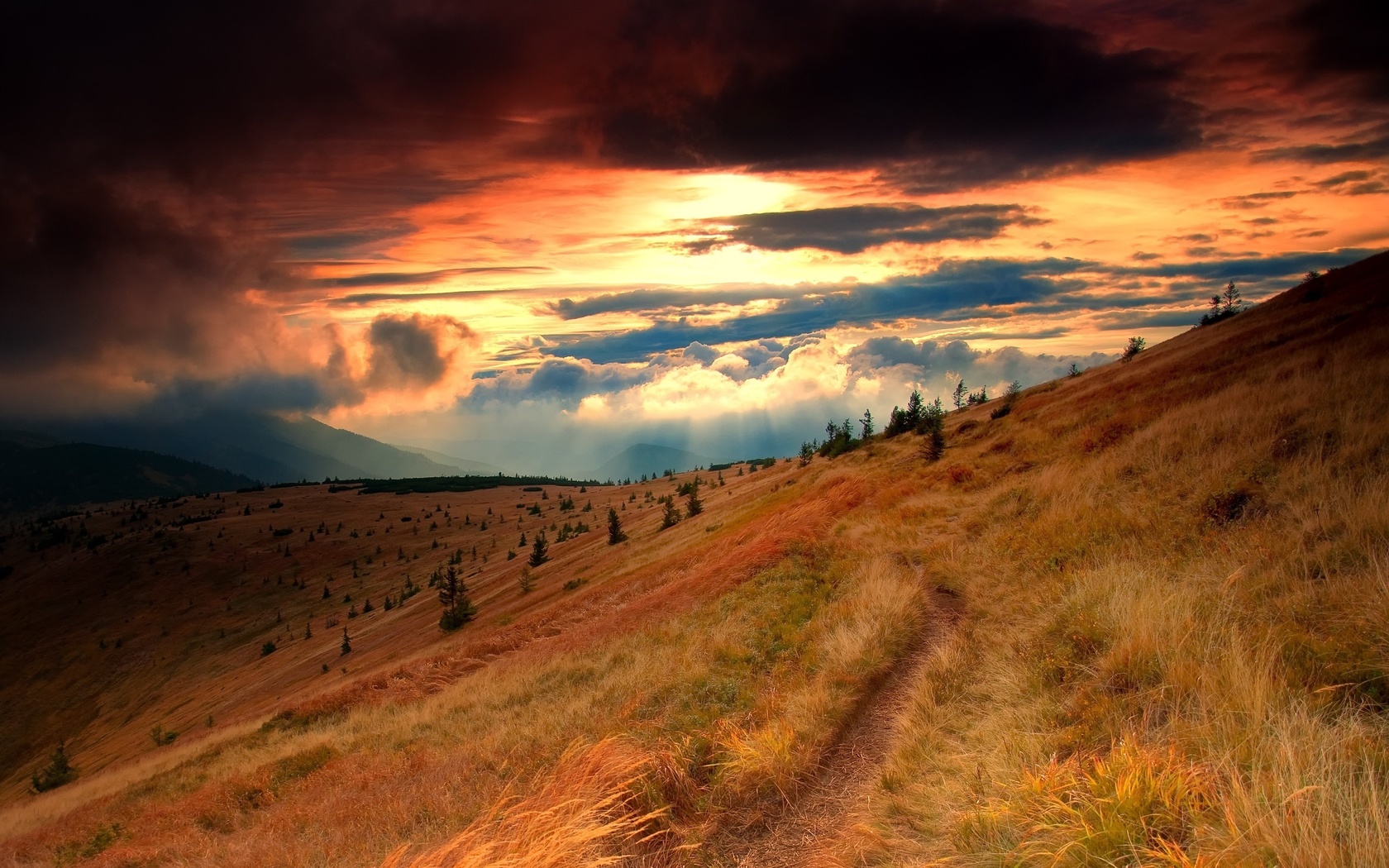 mountain, gree, grass, sky, road, tree, sunlight