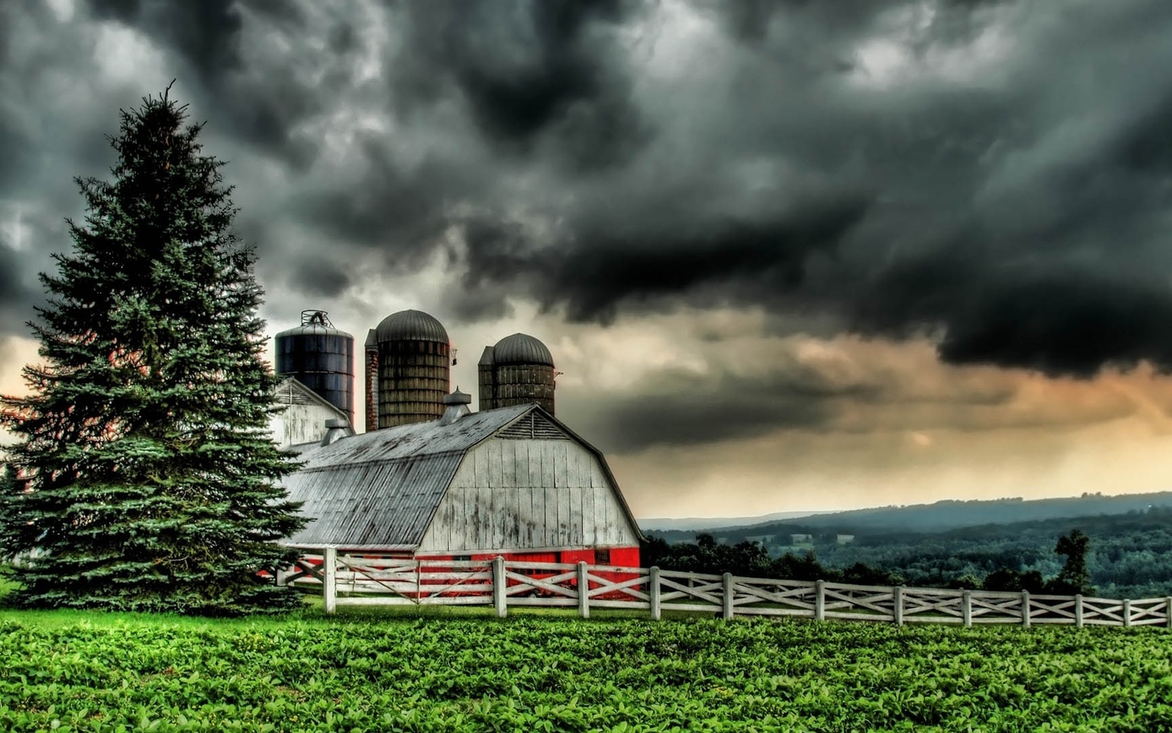 fields, grass, tree, hills, farm