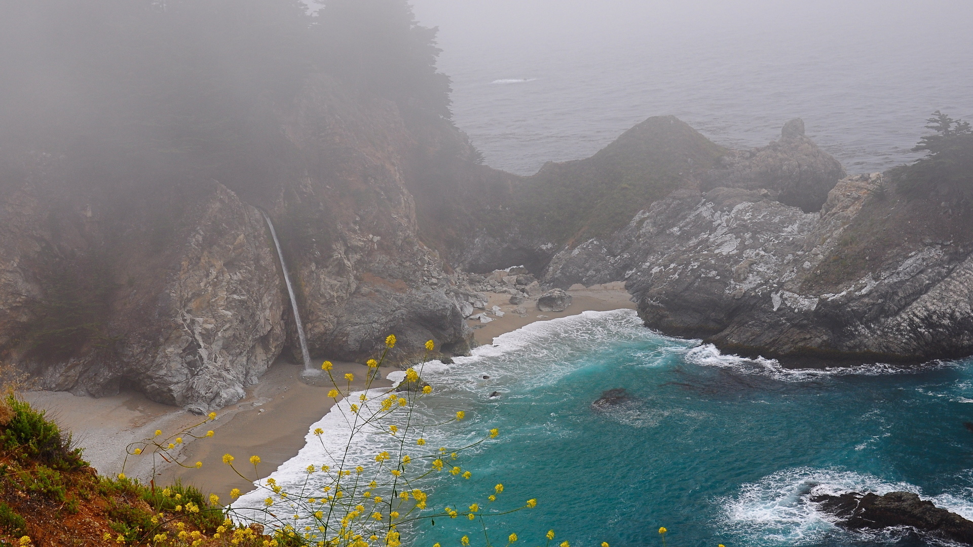 ocean, beach, tree, water, sky, waterfall