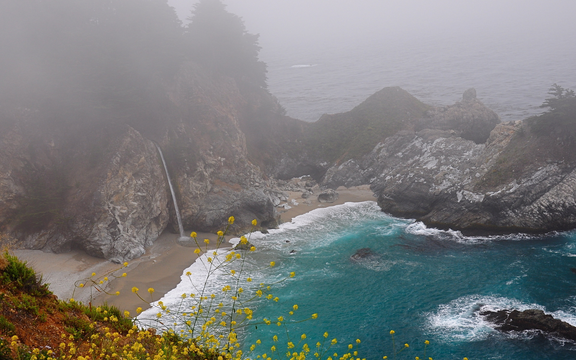 ocean, beach, tree, water, sky, waterfall