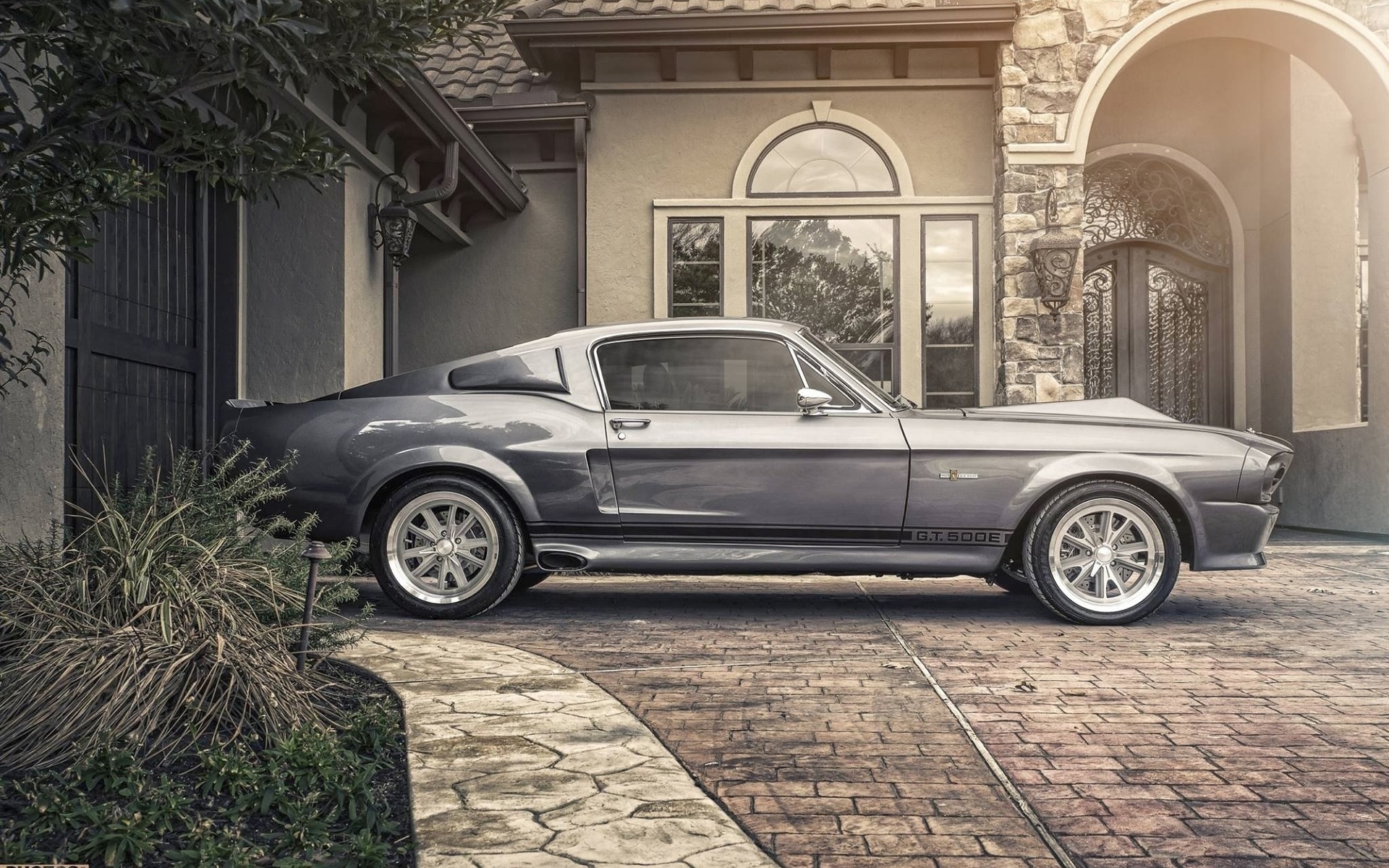 ford, shelby, gt 500, eleanor, silver, muscle car, side, , ,  , 