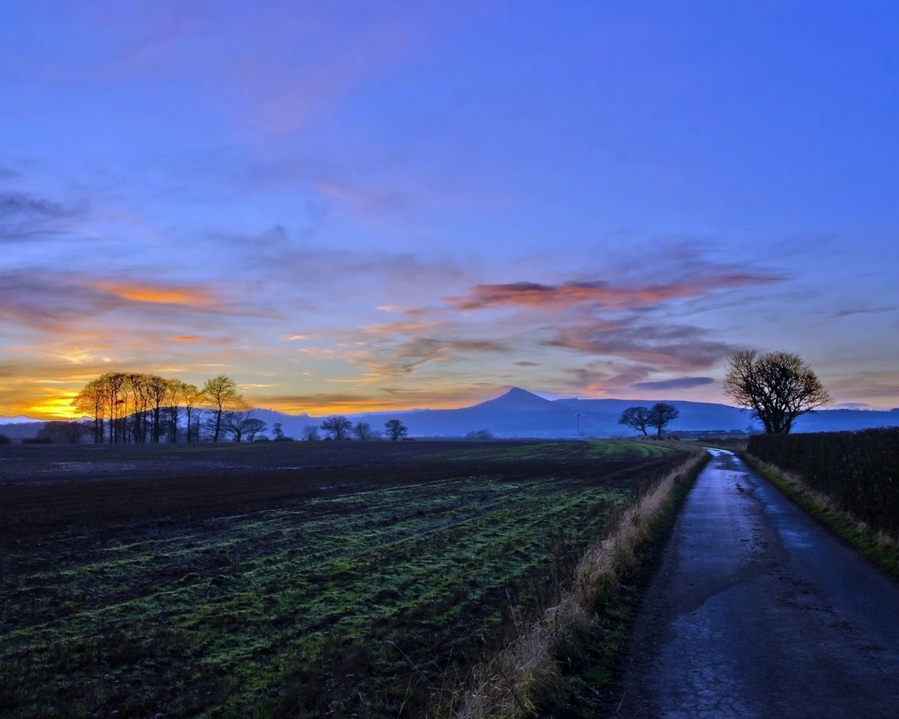 road, tree, sky, clouds