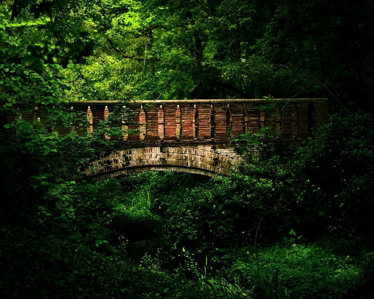 bridge, mountain, rock, tree, water