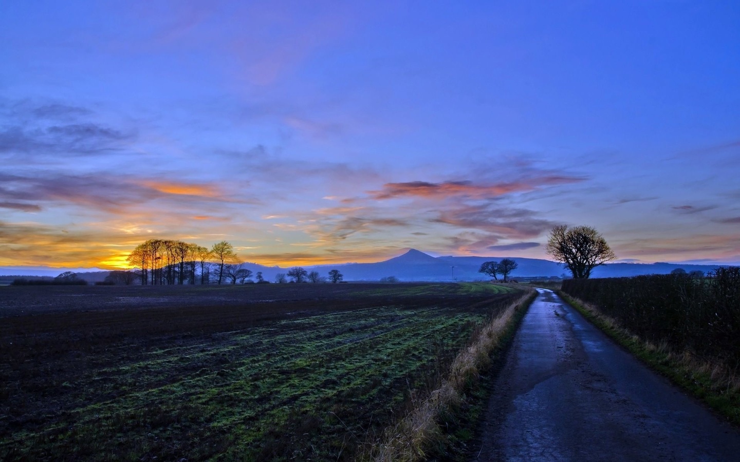 road, tree, sky, clouds