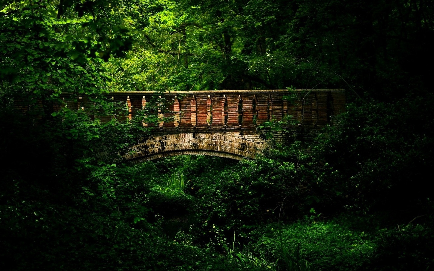 bridge, mountain, rock, tree, water