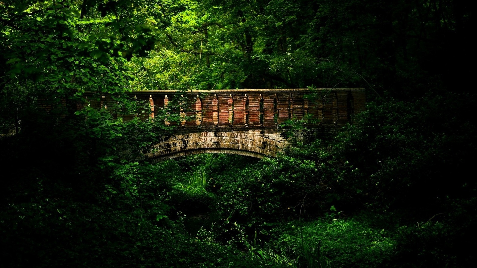 bridge, mountain, rock, tree, water