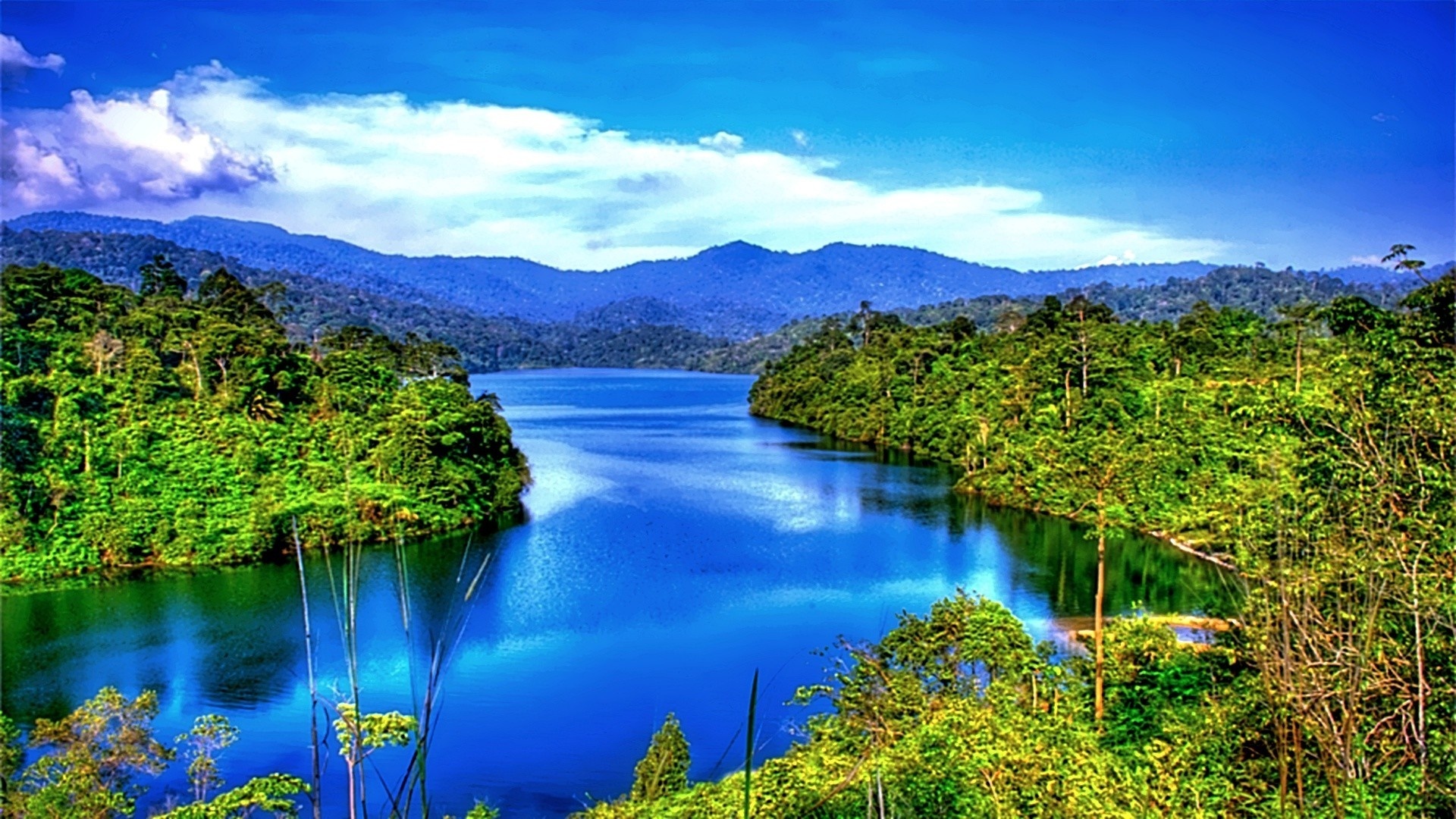 flower, grass, river, mountain, green