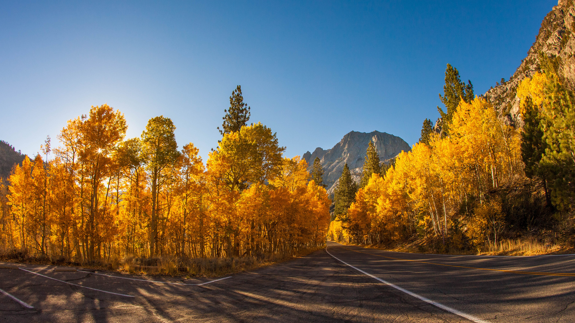 autumn, tree, road, sky, mountain