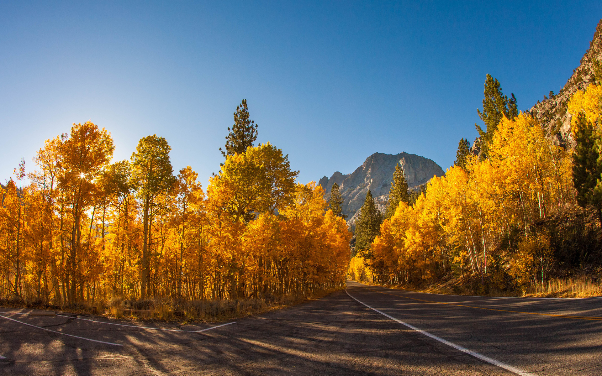 autumn, tree, road, sky, mountain