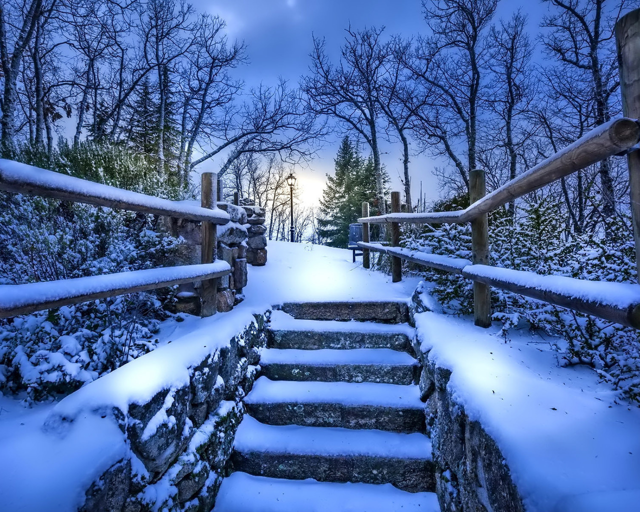 winter, snow, bridge, tree, ice