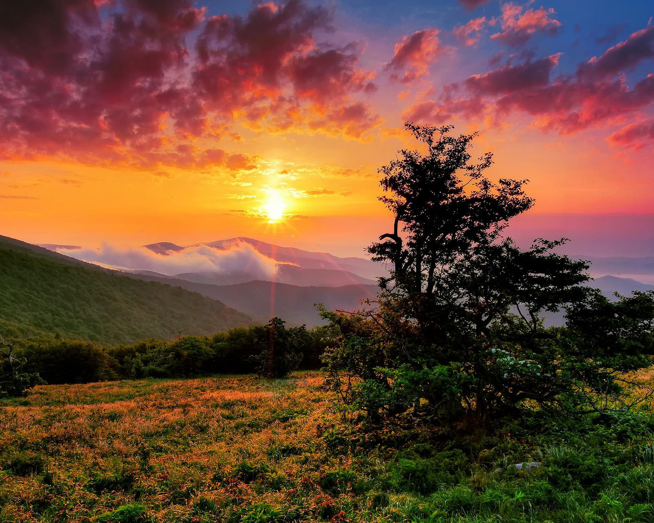 sunset, tree, mountain, grass, sky, clouds, hills