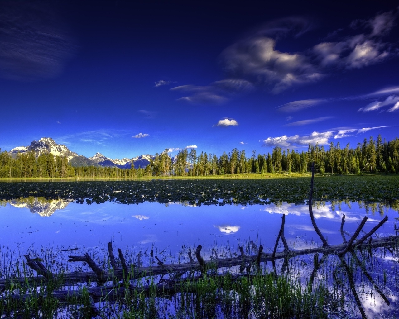 lake, mountain, tree, forest, water, sky, blue, beautiful