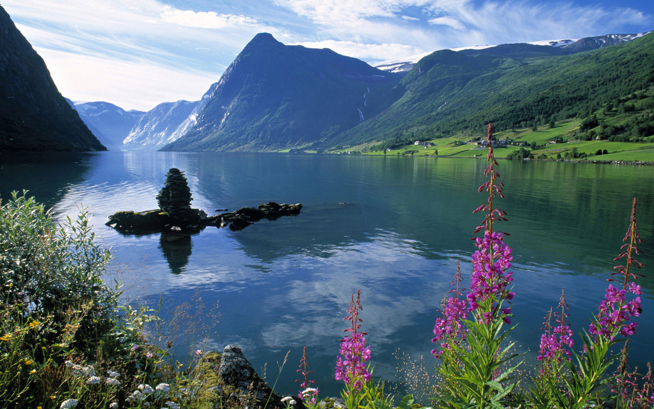 flower, mountain, tree, river, water, reflection