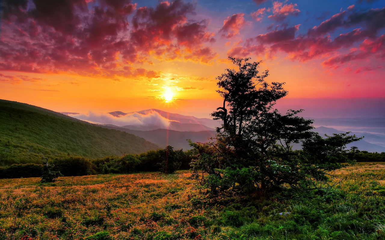 sunset, tree, mountain, grass, sky, clouds, hills