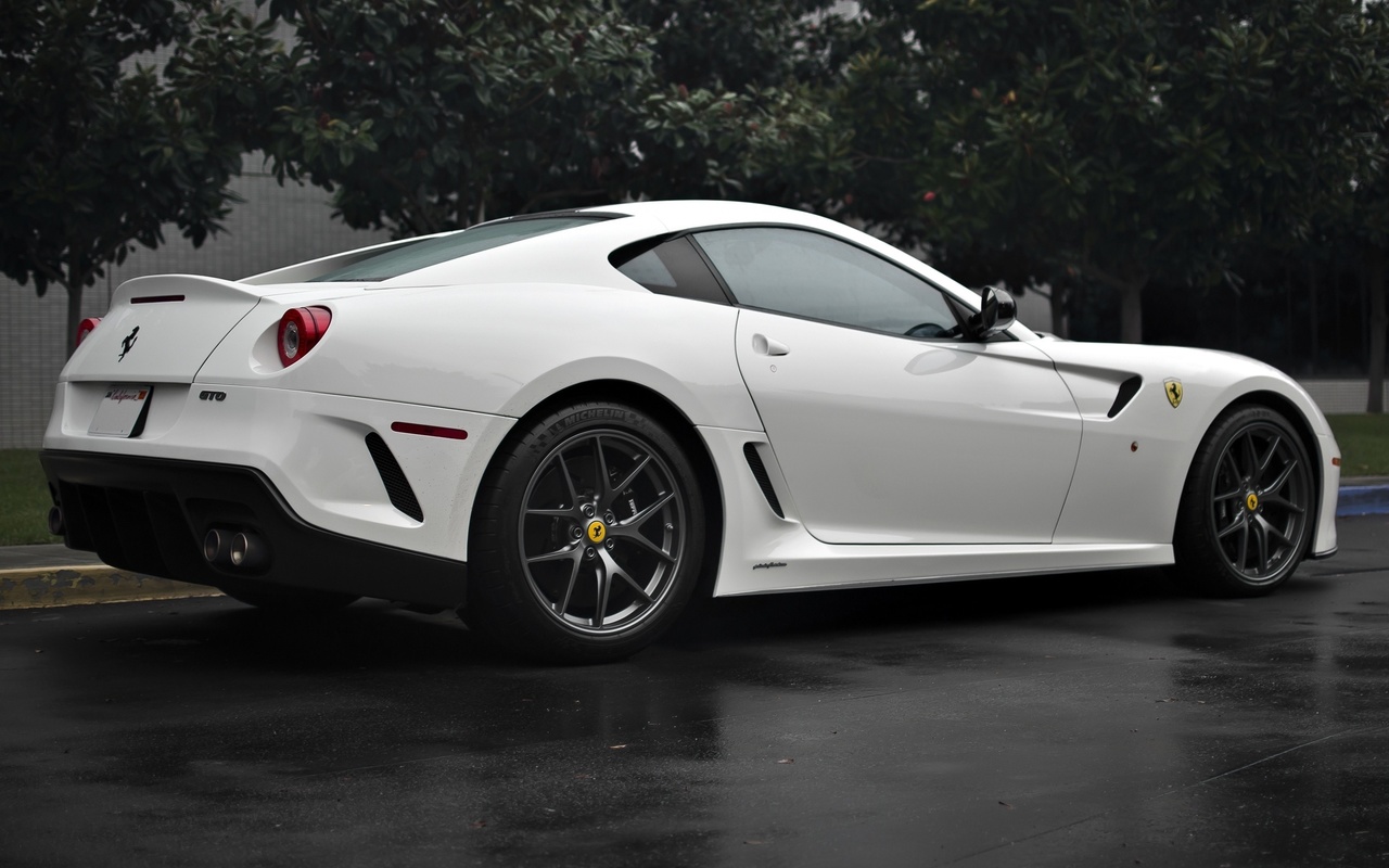 599, back, ferrari, tree, white, , , gto