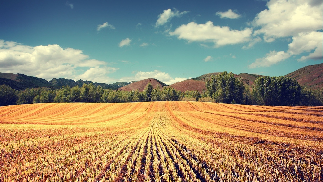 hills, mountain, grass, tree, sky