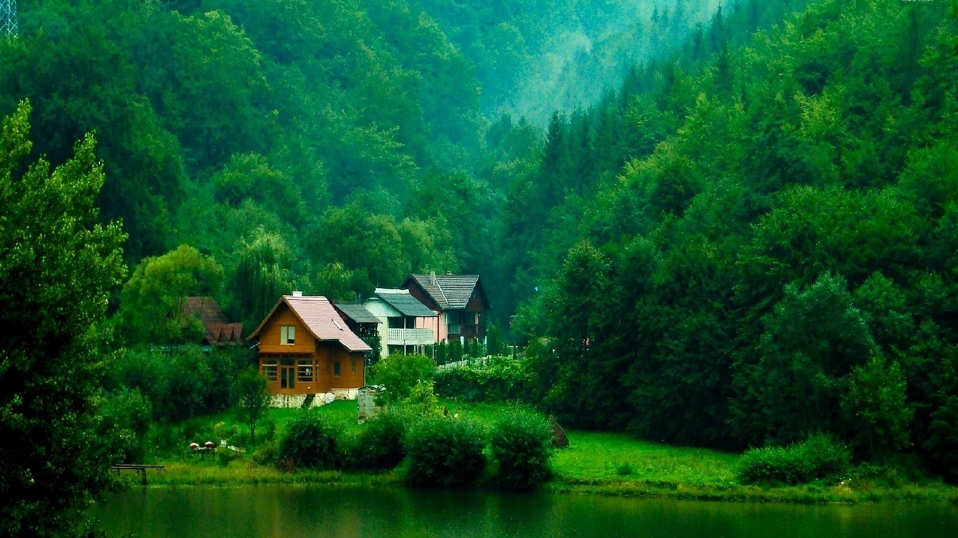 cabin, lakeside, tree, forest, water, lake, green