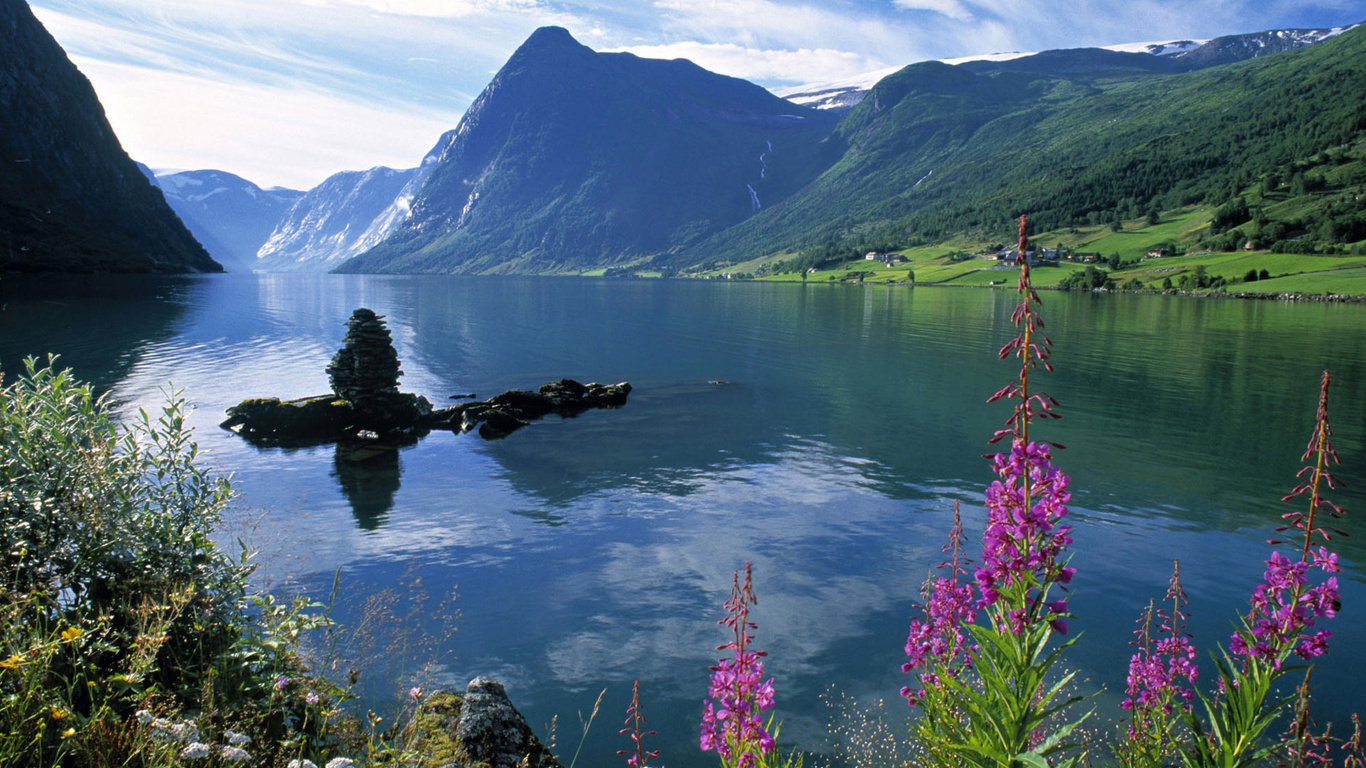 flower, mountain, tree, river, water, reflection