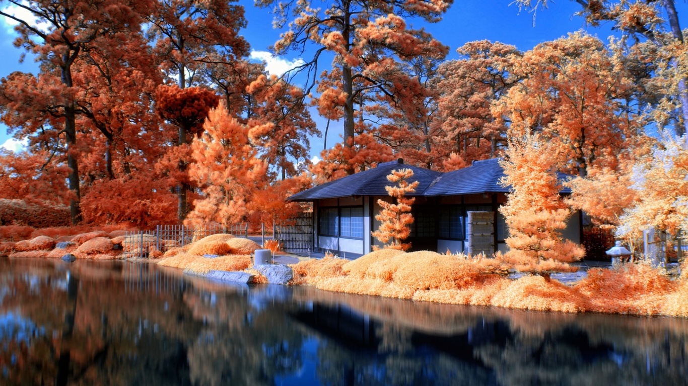 summer, house, tree, leaves, colors, lake, water