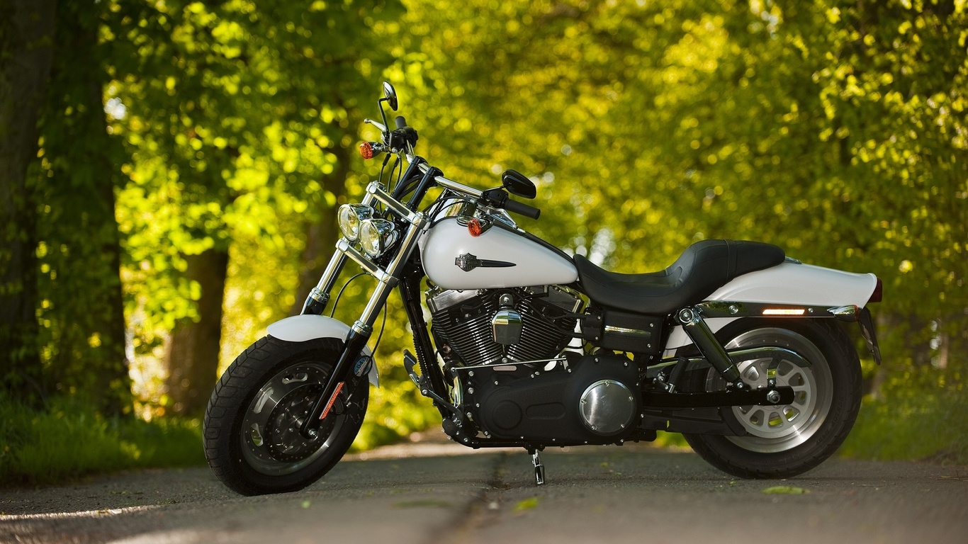 harley-davidson, fat bob, 