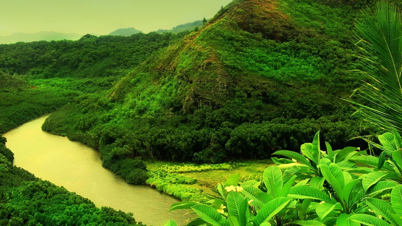 river, mountain, water, forest, green, tree