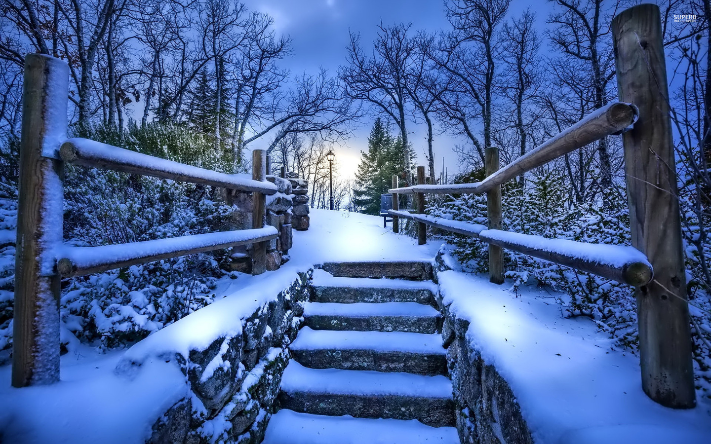 winter, snow, bridge, tree, ice