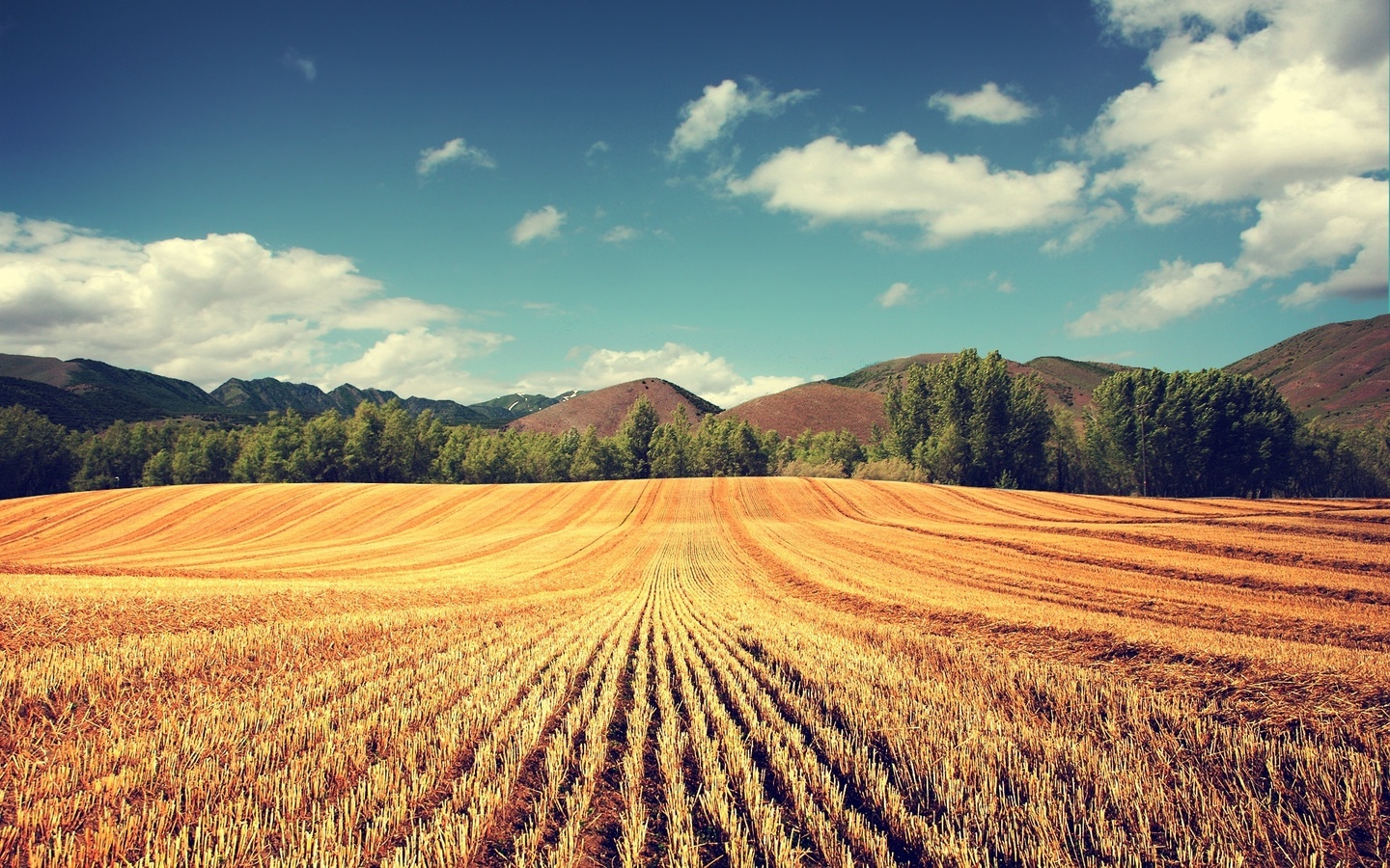 hills, mountain, grass, tree, sky