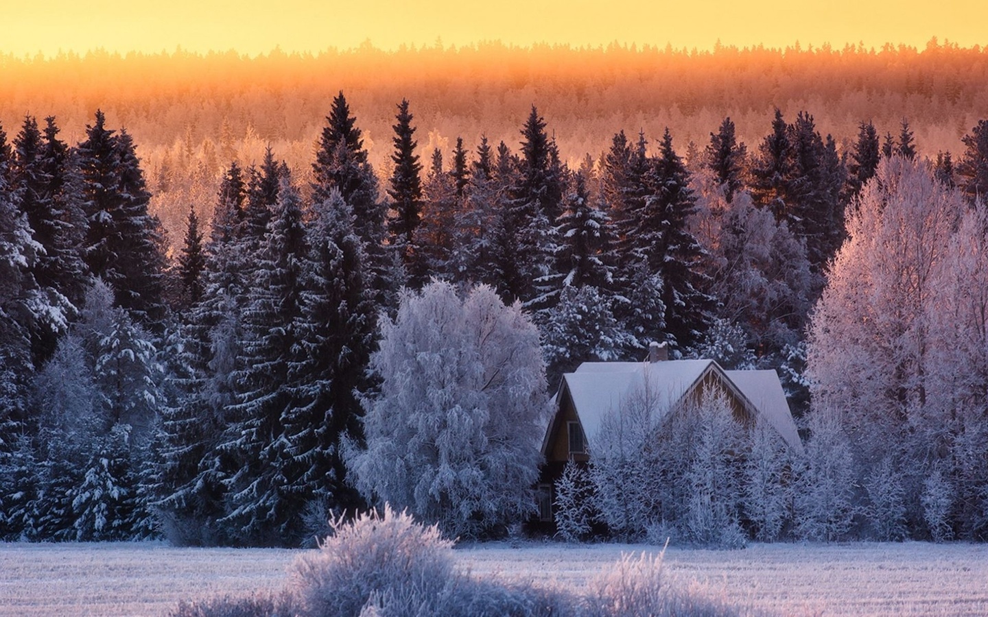 snow, tree, house, cottage, winter