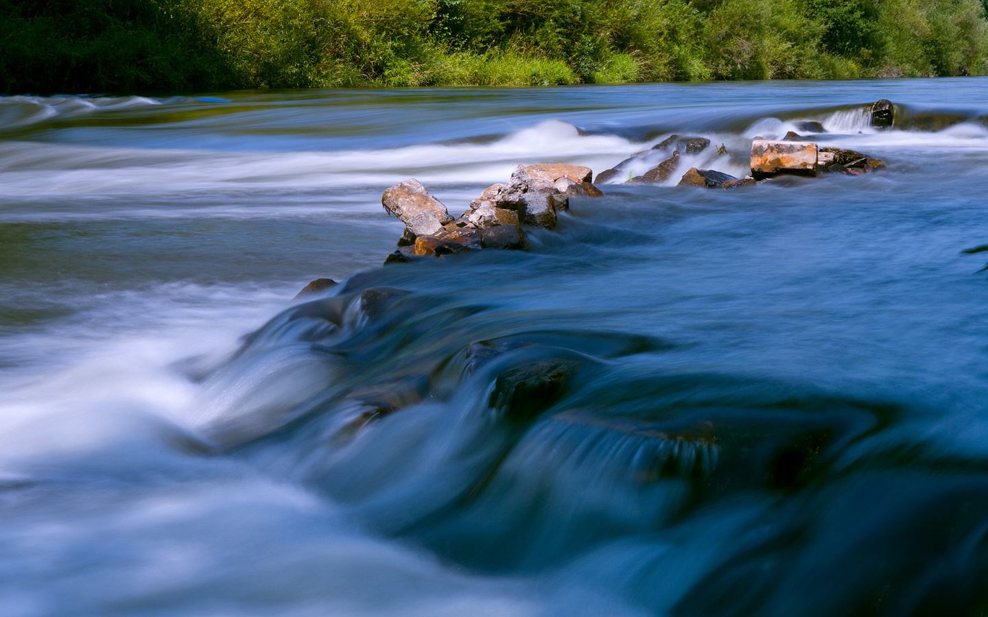 river, tree, water, rock, forest