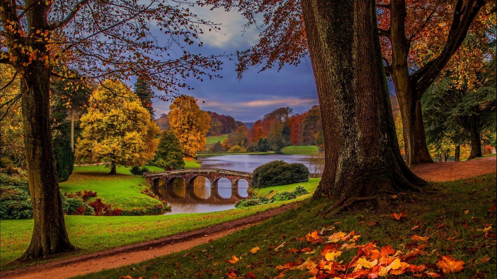 bridge, river, autumn, tree, leaves