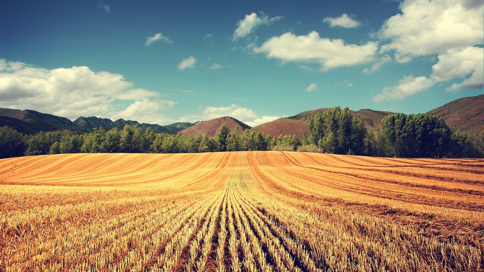 hills, mountain, grass, tree, sky