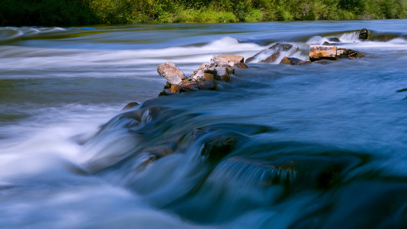 river, tree, water, rock, forest