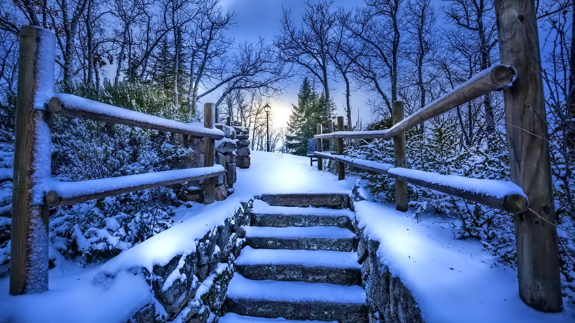 winter, snow, bridge, tree, ice