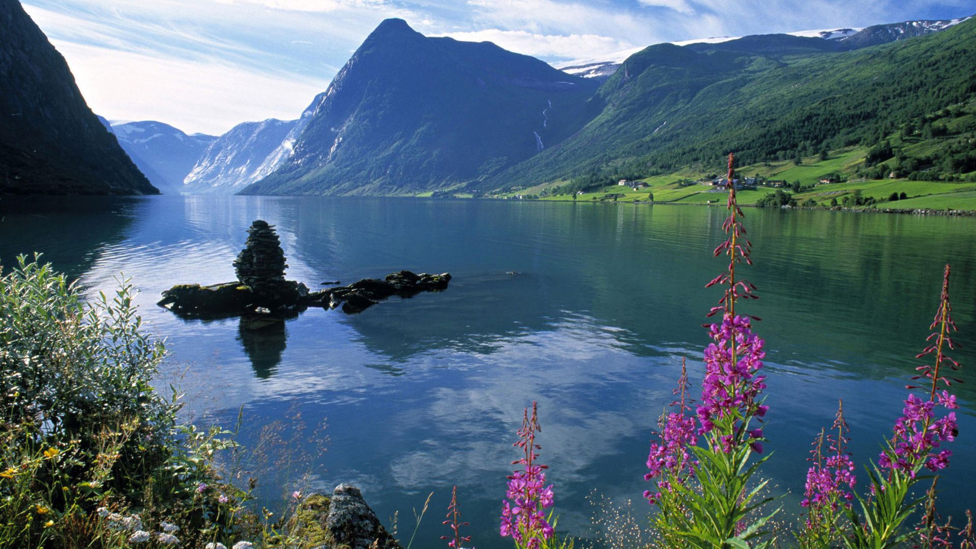 flower, mountain, tree, river, water, reflection