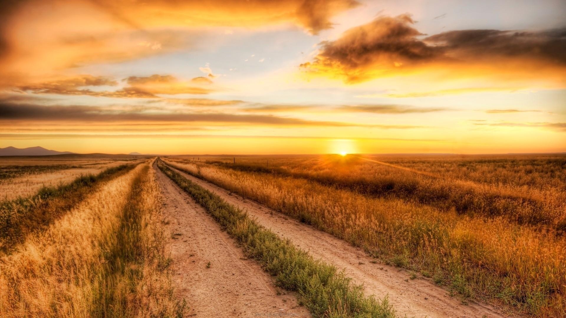 sun, sunrise, fields, grass, clouds, sky