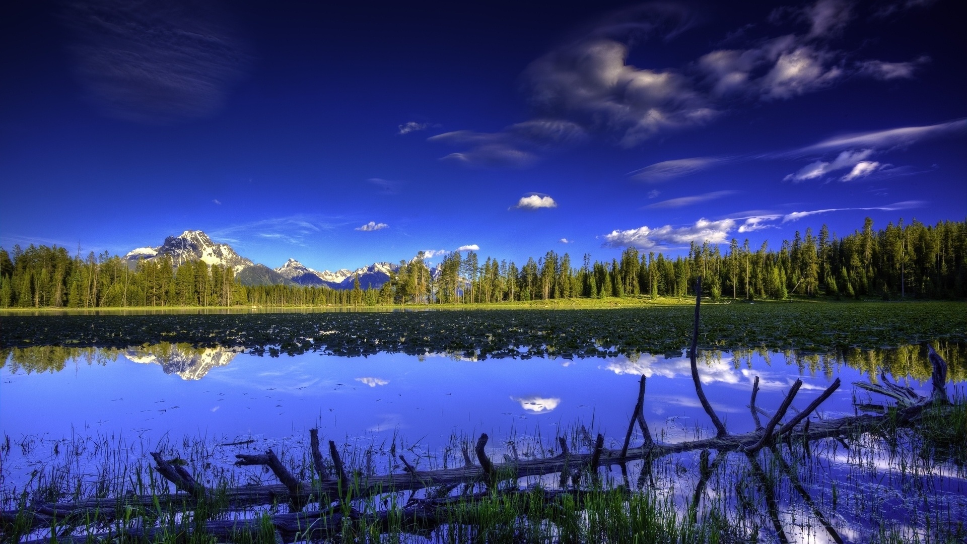 lake, mountain, tree, forest, water, sky, blue, beautiful